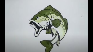 How to Draw Bass Fish Step by Step [upl. by Wertz]