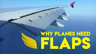 Why Do Planes Have Flaps  Fly Anatomy [upl. by Ydal607]