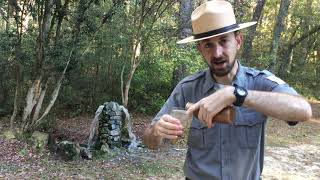 Learn How An Artesian Well Works at Aiken State Park [upl. by Neenahs]