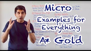 Micro Examples for Literally Everything Pure A Gold [upl. by Giovanni107]