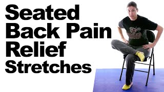 Seated Back Pain Relief Stretches [upl. by Annim]