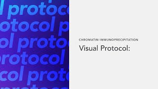 Chromatin Immunoprecipitation Visual Protocol [upl. by Vannie]