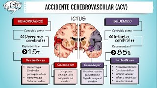 ACCIDENTE CEREBROVASCULAR  Ciencias Básicas [upl. by Hungarian573]