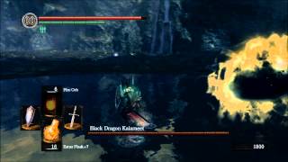 Dark Souls  How To Cut Off Black Dragon Kalameets Tail Solo Strategy NG [upl. by Suciram100]