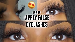 How to Apply Strip Lashes Quick amp Easy  BEGINNER FRIENDLY ♡ [upl. by Proudman486]