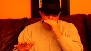 Worlds Easiest Harmonica Lesson 1 [upl. by Ultun259]