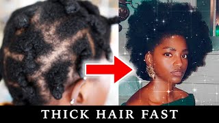 Thin to THICC 4C Natural Hair  How to Grow Thicker Hair [upl. by Ynnhoj893]