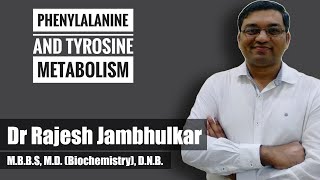 4 Phenylalanine and tyrosine metabolism [upl. by Charlotte975]