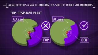 Explaining Herbicide Resistance Herbicide modes of action [upl. by Abih107]