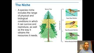 Habitats Niches and Species Interactions [upl. by Enedan358]