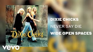 The Chicks  Never Say Die Official Audio [upl. by Ilrebmik]