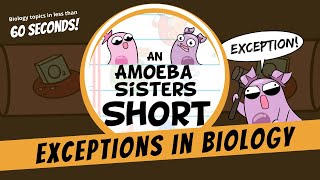 Biology and Its Fascinating Exceptions  Amoeba Sisters Shorts [upl. by Salema]