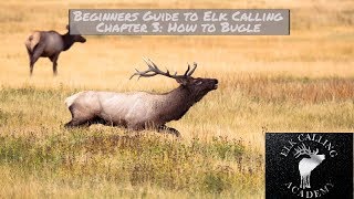 How to Bugle  Chapter 3  Beginners Guide to Elk Calling [upl. by Locin564]