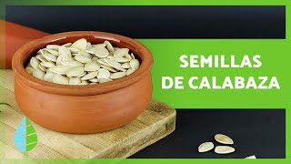 SEMILLAS de CALABAZA 🎃 Propiedades BENEFICIOS y Cómo Prepararlas 🧡 [upl. by Mohn572]