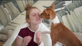 Basenji Things to Know about Before Getting A Basenji Puppy [upl. by Singhal]