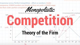 Monopolistic Competition [upl. by Naahs102]