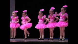 3 Year Old Ballet Dance Classes For Toddlers Champaign [upl. by Ahtrim913]