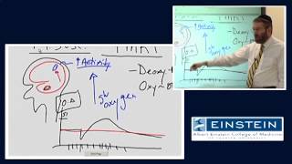 Principles of fMRI Part 1 Module 5 Basic MR Physics [upl. by Earej]