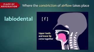 Chapter 2 Nasal Anatomy and Function [upl. by Anitnas545]