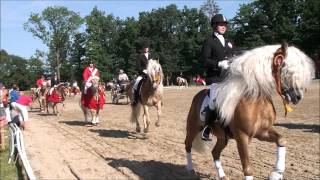 Haflinger Europa Championat 2012  Lap of honour [upl. by Edina]