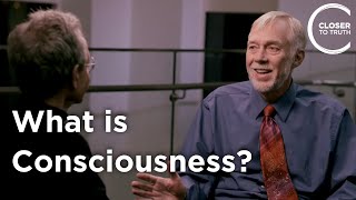 Roy Baumeister  What Is Consciousness [upl. by Barnaby]