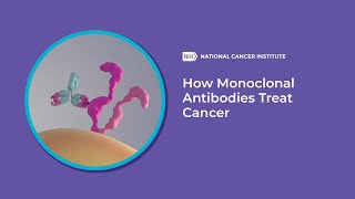 How Monoclonal Antibodies Treat Cancer [upl. by Duester601]