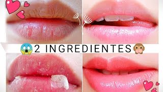 Cómo hidratar tus LABIOS en 2 MINUTOS 💋 [upl. by Valonia487]