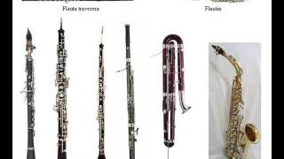 Instrumentos Musicales [upl. by Gerhan]