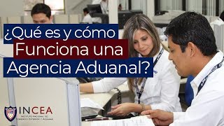 ¿Qué es y Cómo Funciona una Agencia Aduanal [upl. by Ajssatan]