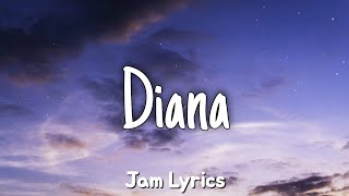 Diana  Paul Anka ✓Lyrics✓ [upl. by Revart]