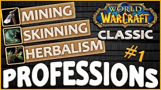 Classic Vanilla WoW Professions OverviewGuide Skinning Mining Herbalism [upl. by Eam391]