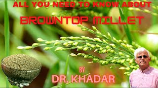 Everything You Need to Know About BROWNTOP MILLET  Dr KHADAR [upl. by Gregg]