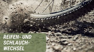 Reifen und Schlauchwechsel für Fahrräder und EBikes  Prophete [upl. by Little597]