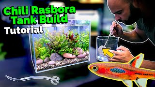 Building a Nano Jungle Planted Aquarium for Chili Rasbora [upl. by Aerdnaek]