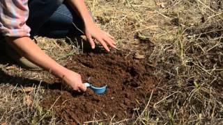 How to Collect a Soil Sample for Lab Analysis [upl. by Warfeld687]