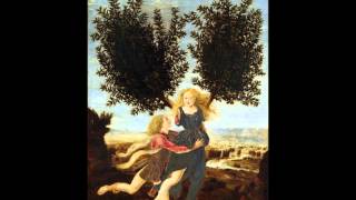 The Story Of Apollo amp Daphne [upl. by Amos891]