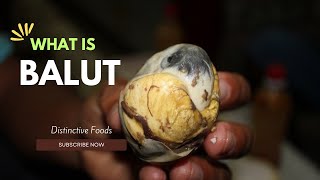 Balut in Philippine [upl. by Affra120]