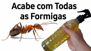 Inseticida Caseira para acabar comFormigasaranhastraças e mosquitos [upl. by Tacita391]