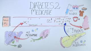 Diabetes type 2  Medicatie [upl. by Mahda839]