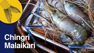 Chingri Malaikari Recipe—Bengali Prawn Malai Curry—Bengali Prawn Curry—Noboborsho Special [upl. by Sylado]