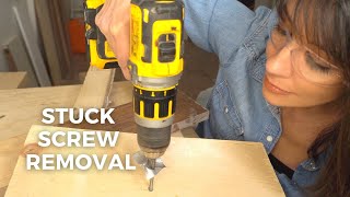 Stuck Screw Removal  5 BEST Ways to Remove Stripped Screws [upl. by Kho]