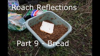 Roach Reflections Part 9  Roach Baits  Bread [upl. by Neema]