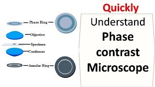 Phase contrast microscope [upl. by Kyrstin]