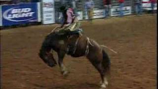 Saddle Bronc Riding  HRS Rodeo [upl. by Publea]