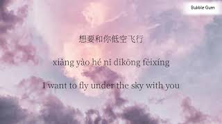 失眠飞行  Shi Mian Fei Xing   Insomnia Flight  PinyinLyricsEngsub   Chinese Tik Tok [upl. by Ynobe]