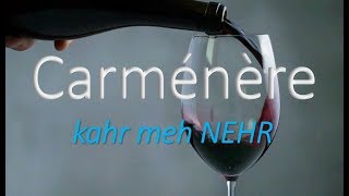 How to Pronounce Carménère CORRECTLY What Wine is It [upl. by Hainahpez]