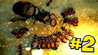 The Ant Queen  Empires Of The Undergrowth  Ep2 [upl. by Leksehc858]