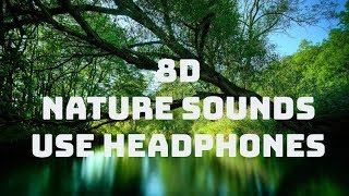 🎧 8D Nature Sounds  Relaxing Nature ASMR  USE HEADPHONES [upl. by Merissa]