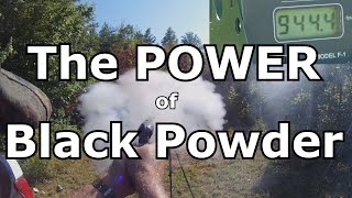 How Powerful are Black Powder Revolvers [upl. by Derna]