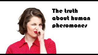 The truth about human pheromones [upl. by Meela]